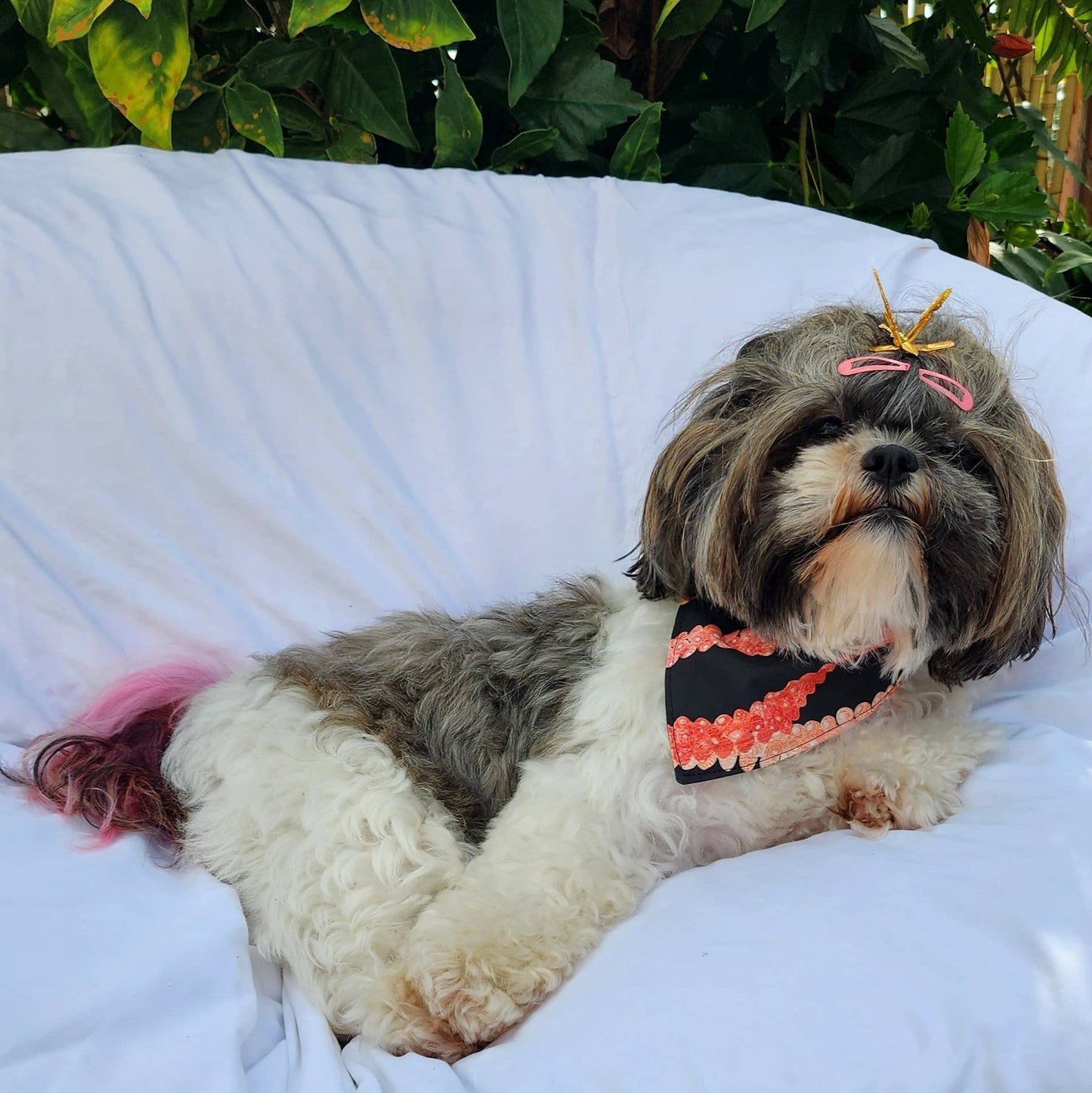 GigiWhy Pet Scrunch Bandana- Pakalana/ Ni'ihau lei