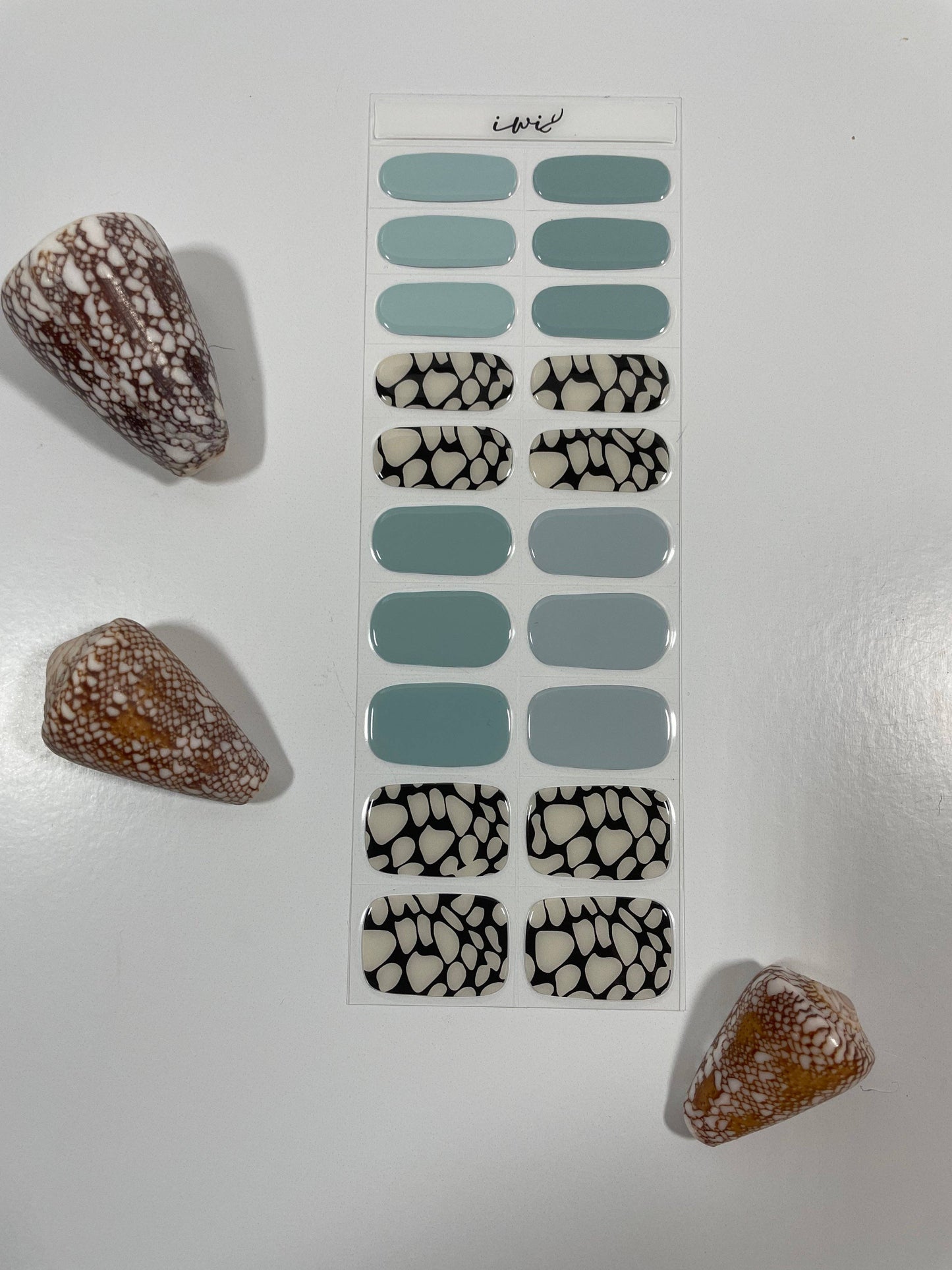 Pūpū Hinuhinu Collection: Pūpū Pōniuniu 2 Uliuli (Marble Cone - Blue)