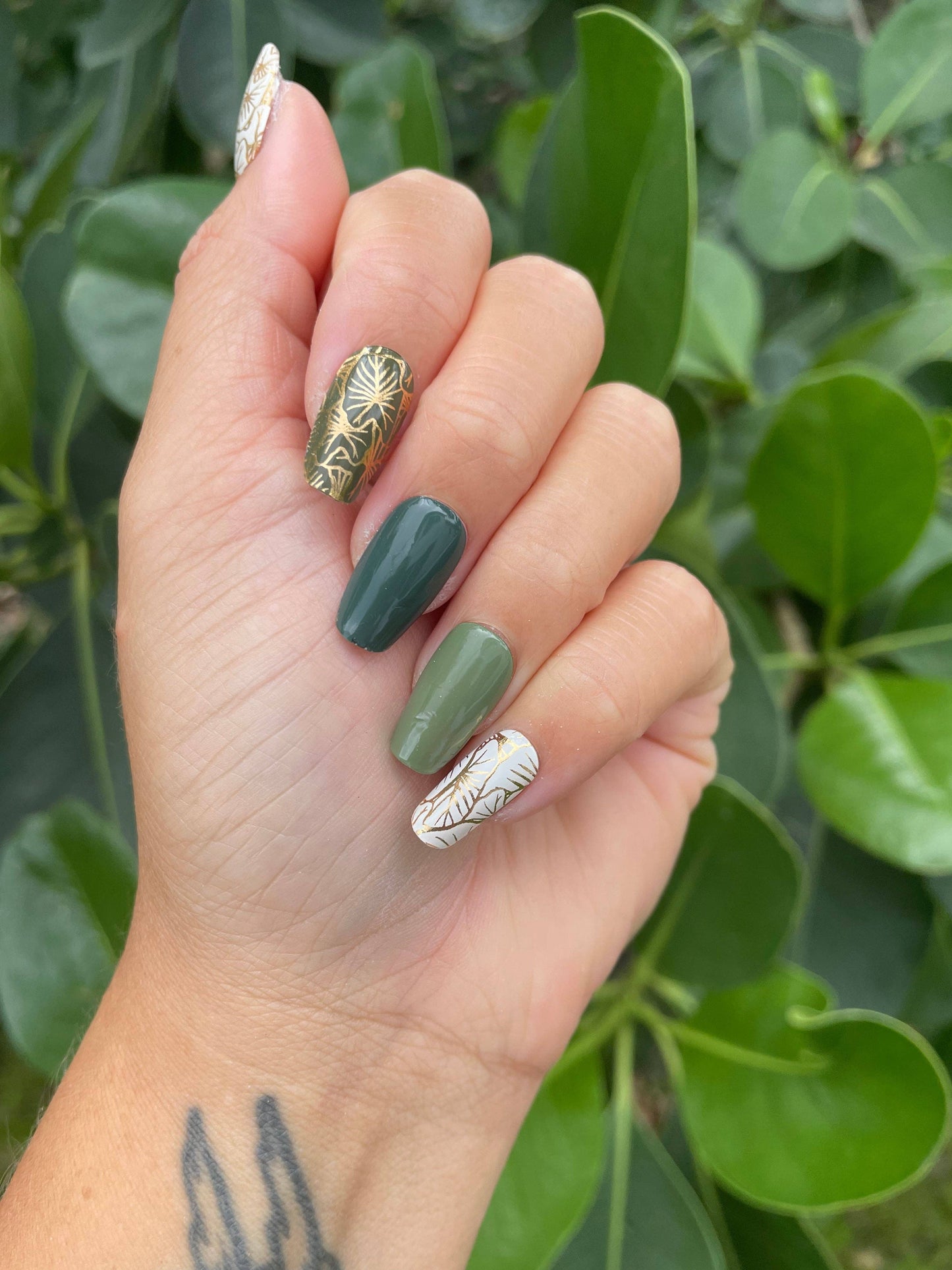 KOLEKOLEA x IWI NAILS: Loʻi Kalo
