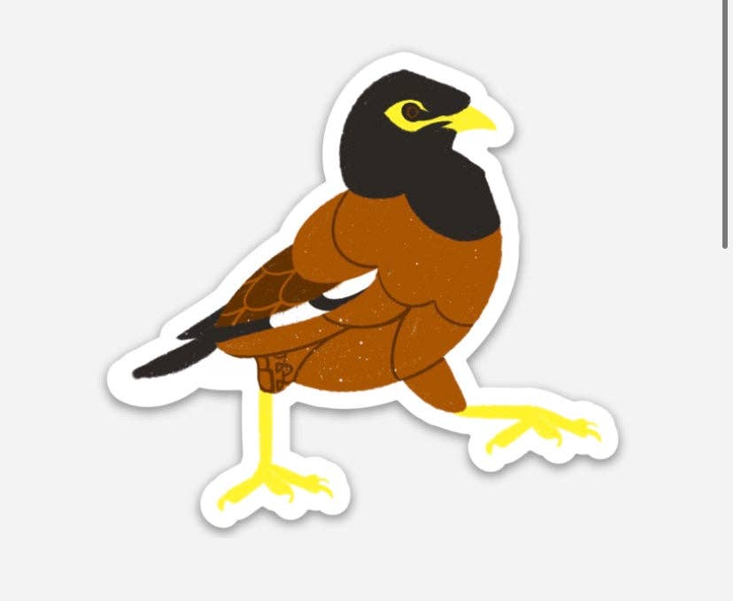 Myna Bird Stickers