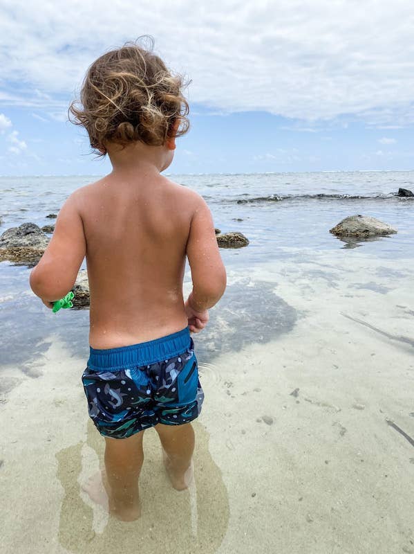 Hawaii Na Mano (Sharks) Eco-Friendly Boardshorts