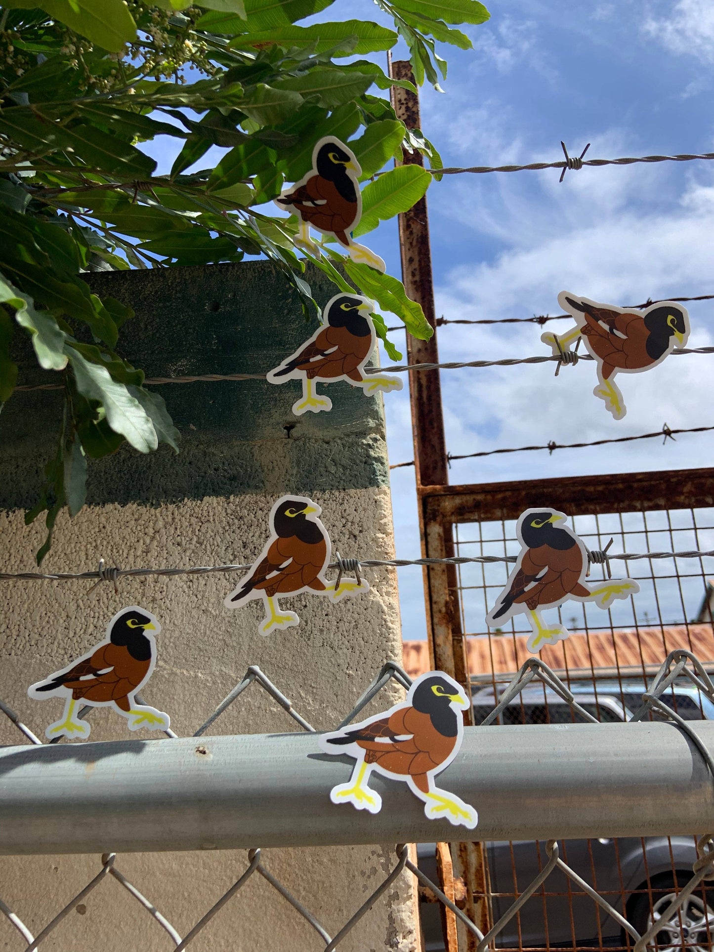 Myna Bird Stickers