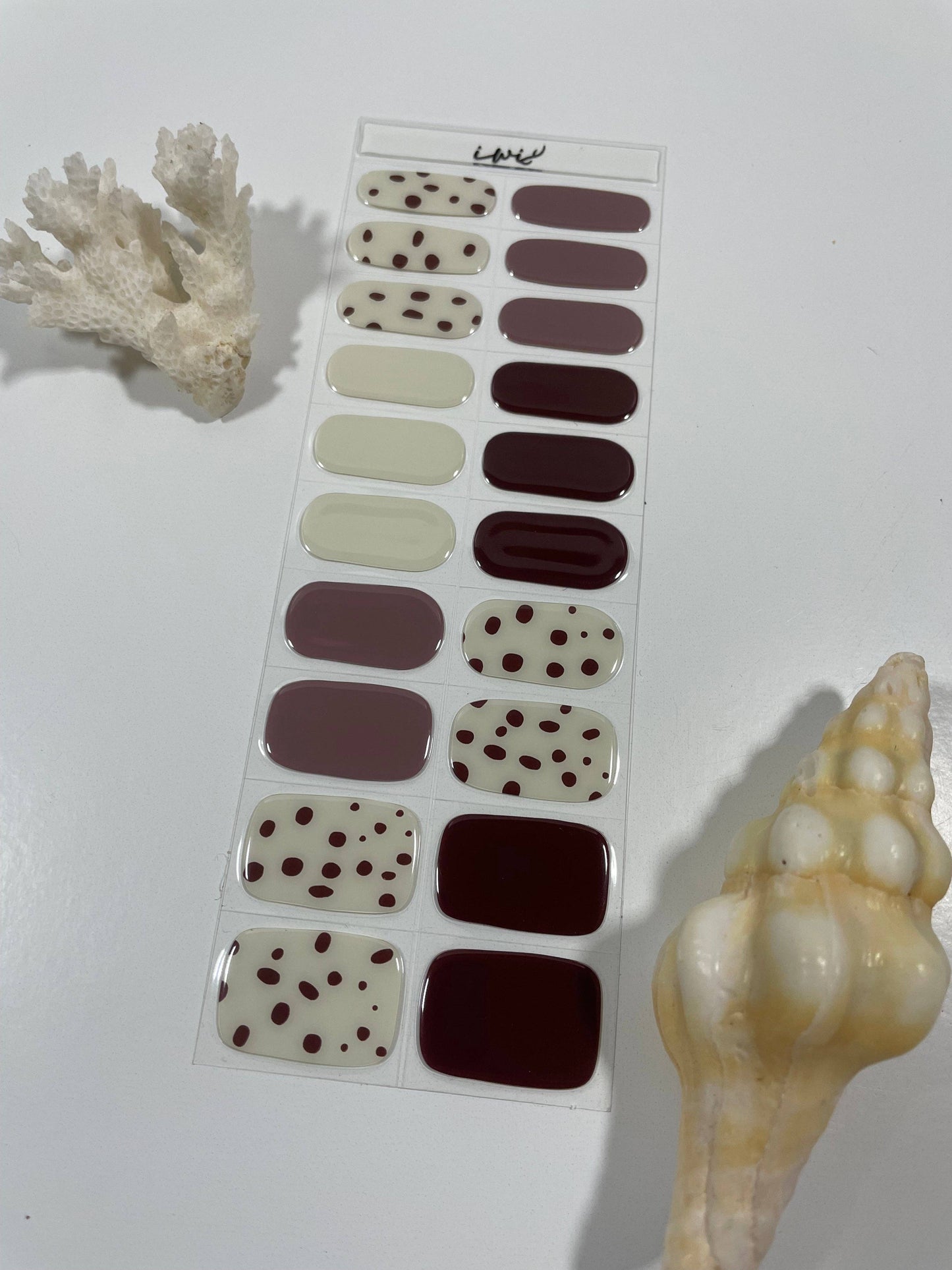 Pūpū Hinuhinu Collection: Pūpū Pōniuniu 3 (Flea Cone)