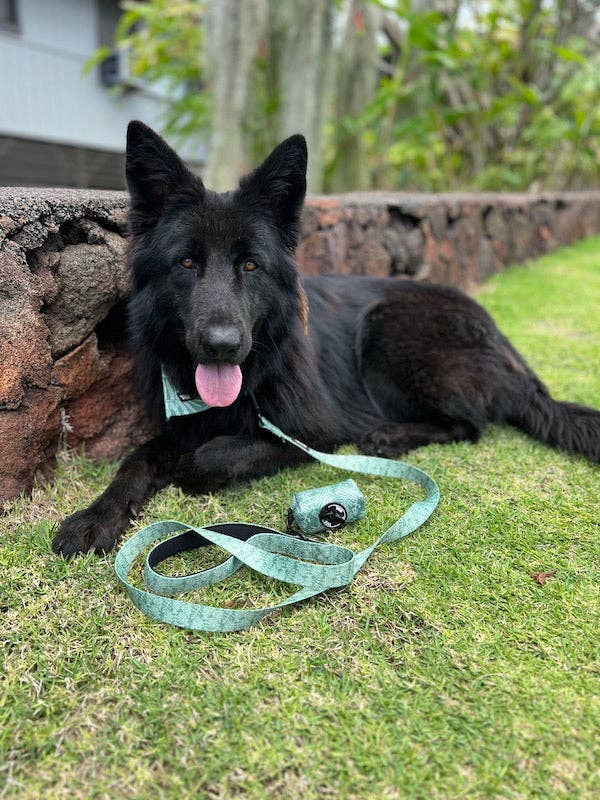 Hawaiian Pet Elepaio Ha Kea Kalo Leash