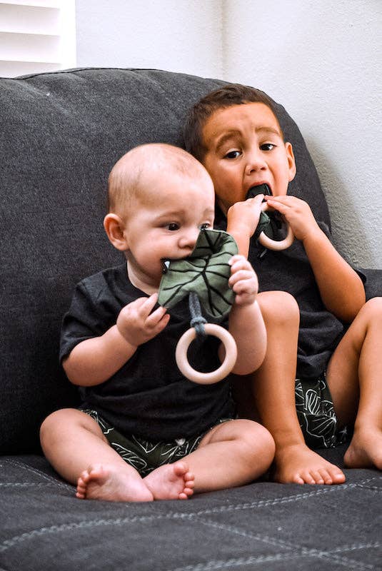 Hawaiian Kalo Baby Crinkle Teether Toys