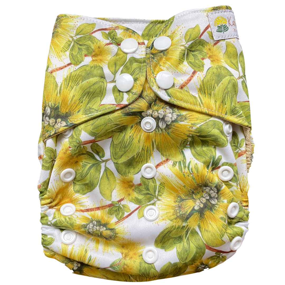 Kaiapa ʻAuʻau (Swim Diapers)