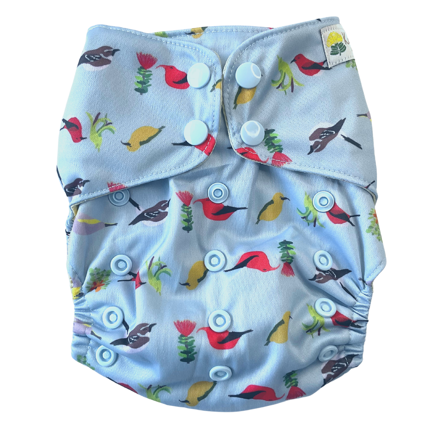 Kaiapa ʻAuʻau (Swim Diapers)