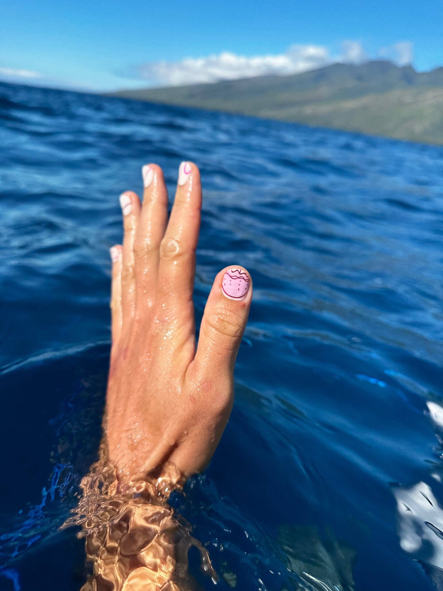 Lipo Collection: Pololia (Jellyfish)