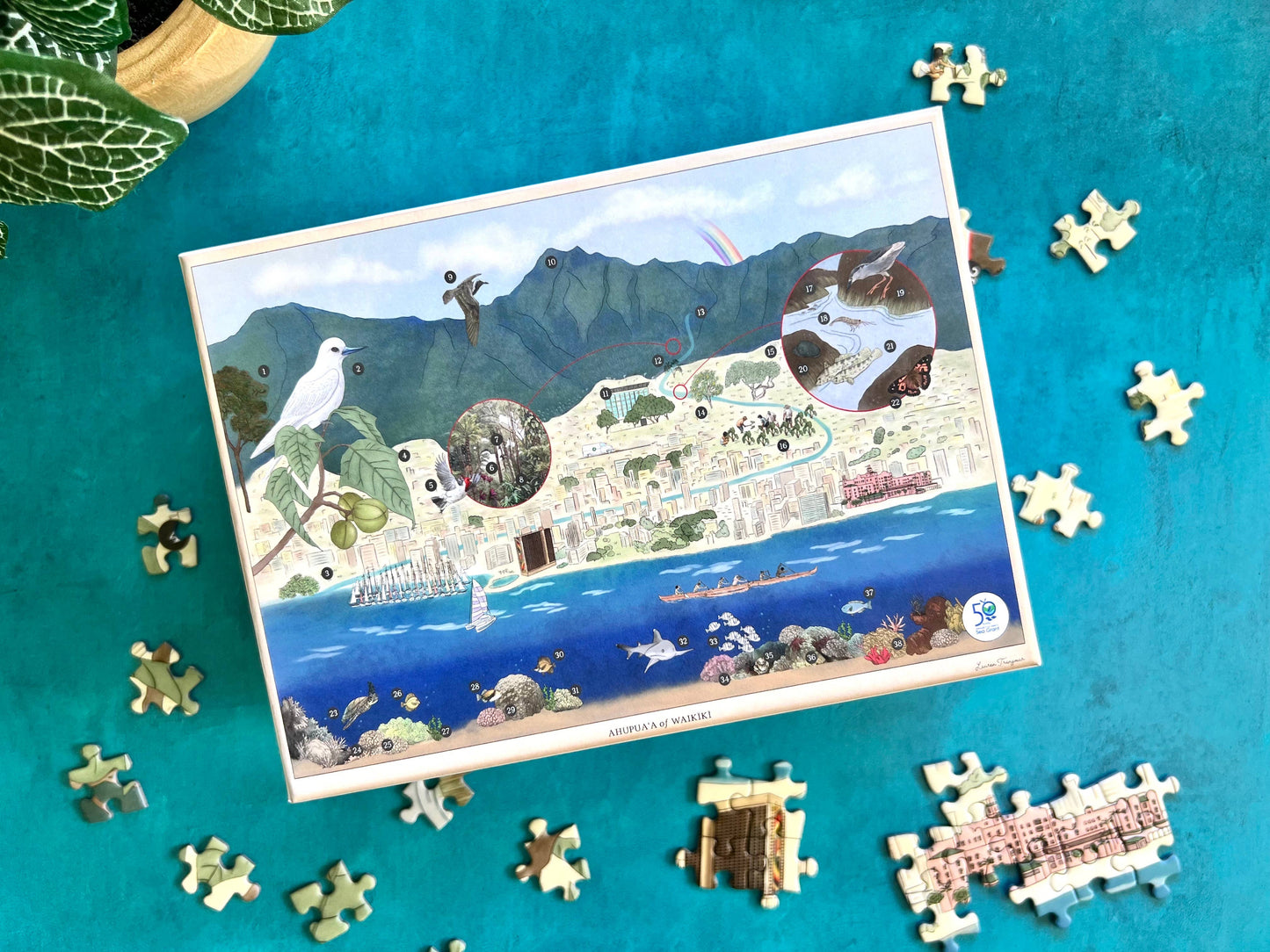 Ahupuaʻa of Waikīkī by Lauren Trangmar