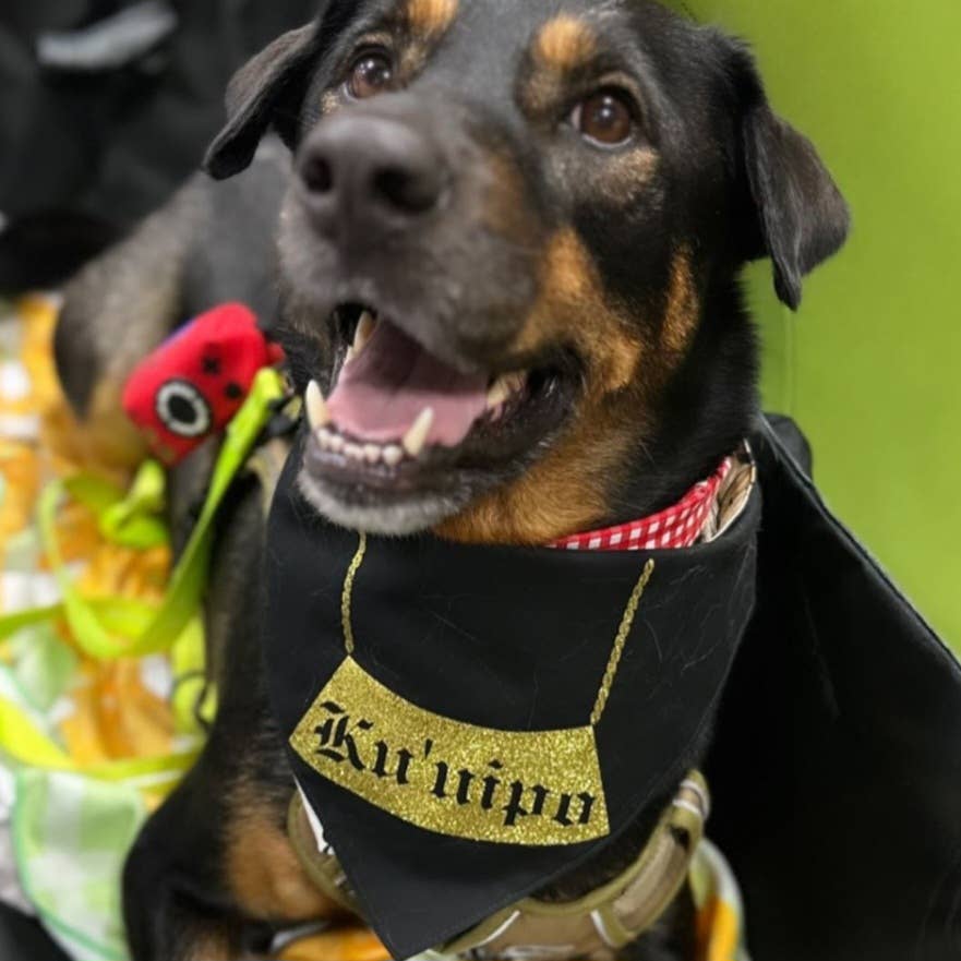 GigiWhy Pet Scrunch Bandana- Ku'uipo Necklace