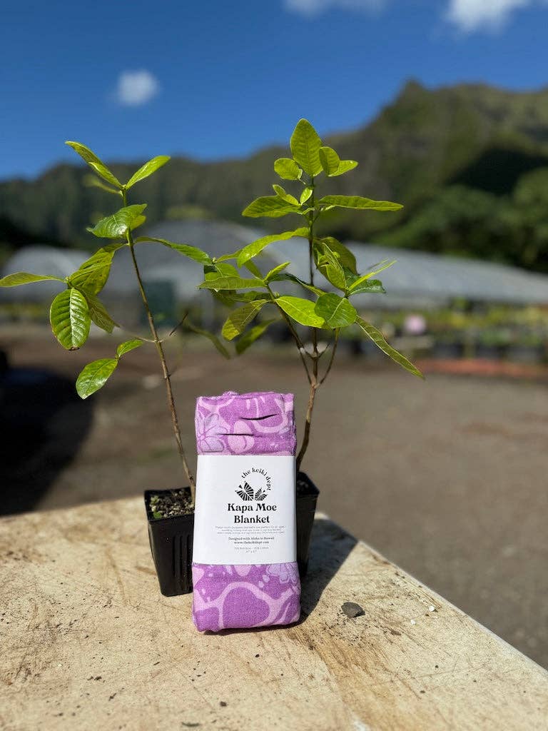 Nāʻū Bamboo Muslin Kapa Moe (Swaddle Blanket)