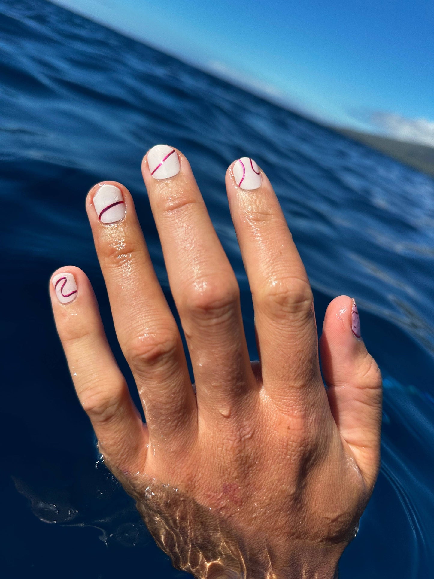 Lipo Collection: Pololia (Jellyfish)