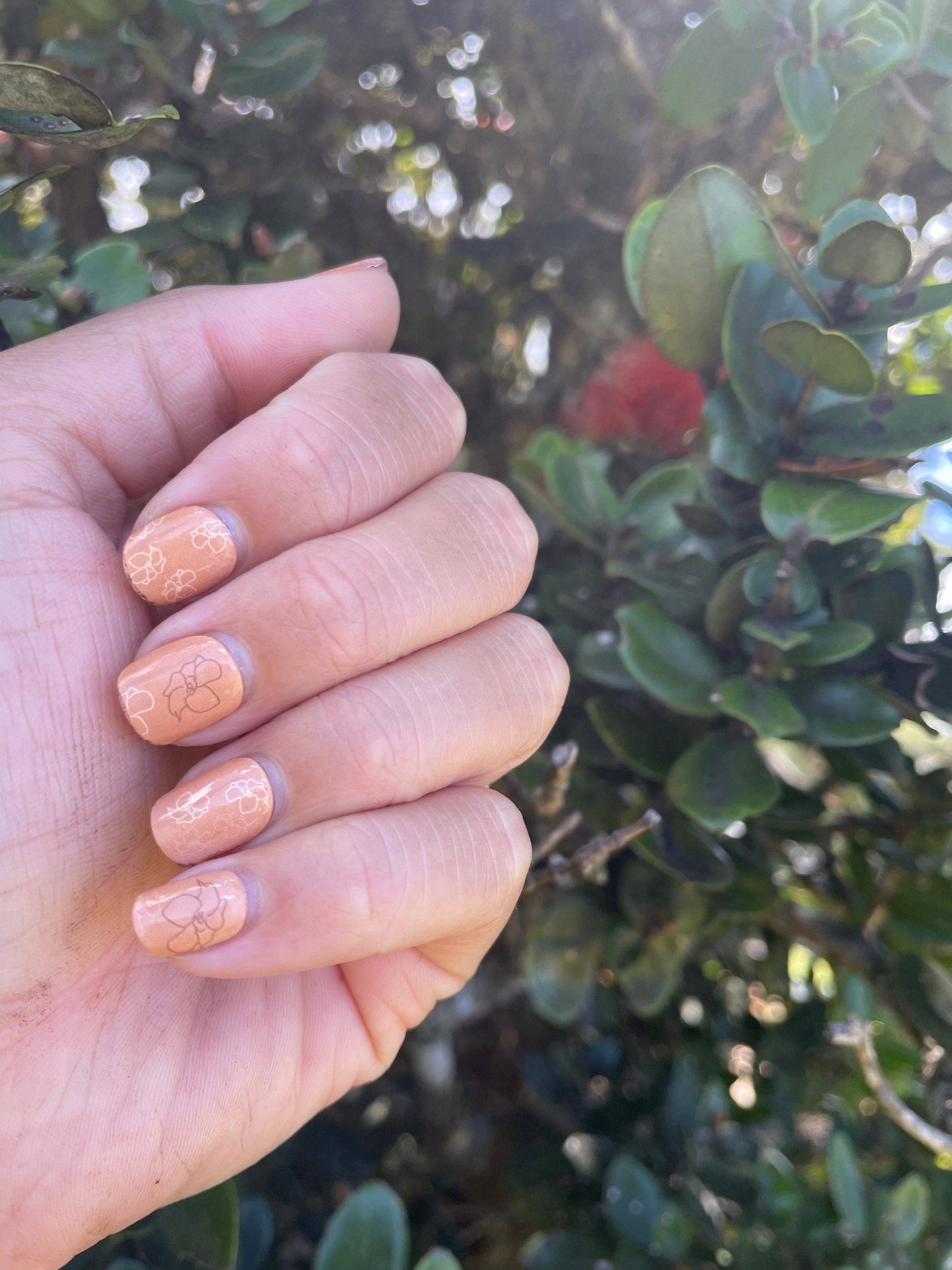 Shop Kinolau x Iwi Nails: ʻAʻala