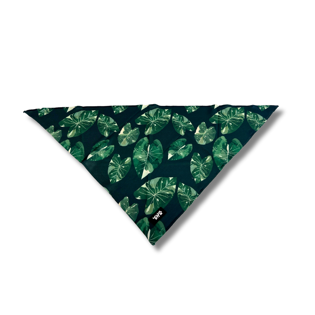 Hawaiian Pet Kalo Elepaio Ha Kea Bandana
