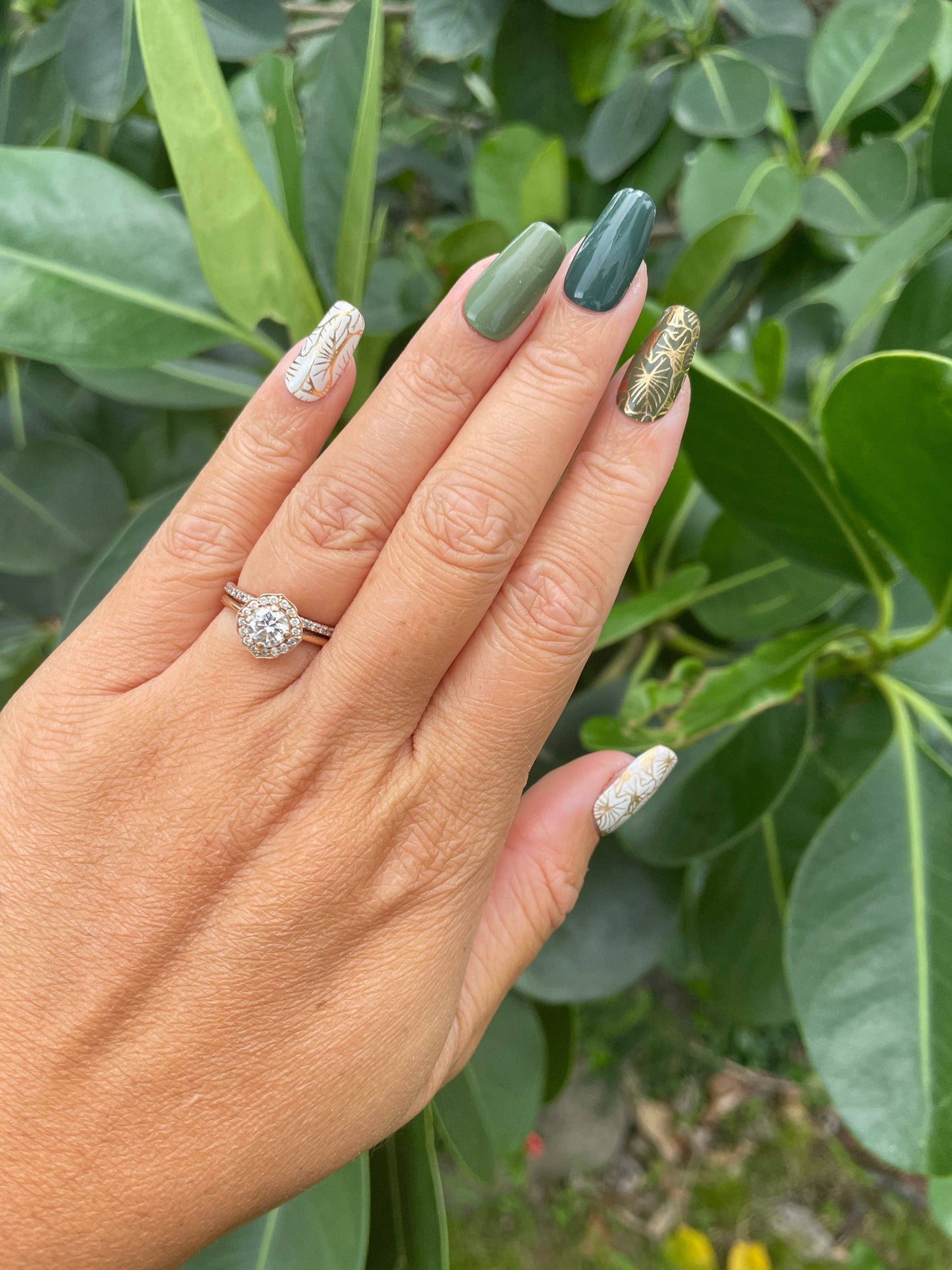 KOLEKOLEA x IWI NAILS: Loʻi Kalo
