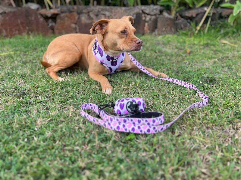 Hawaiian Pet Pink & Purple Kalo Leash