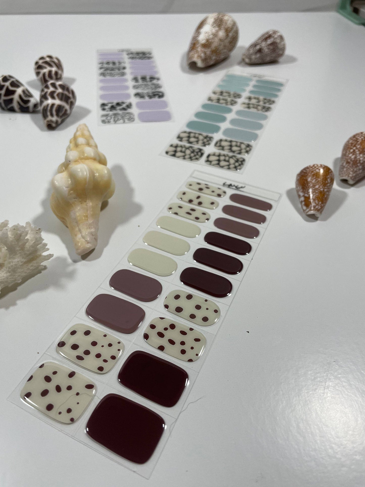 Pūpū Hinuhinu Collection: Pūpū Pōniuniu 3 (Flea Cone)