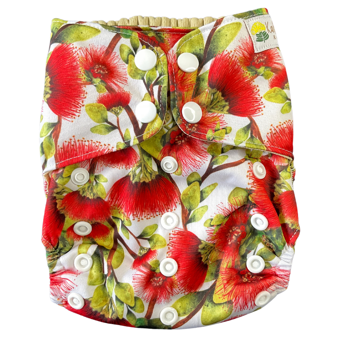 Kaiapa ʻAuʻau (Swim Diapers)