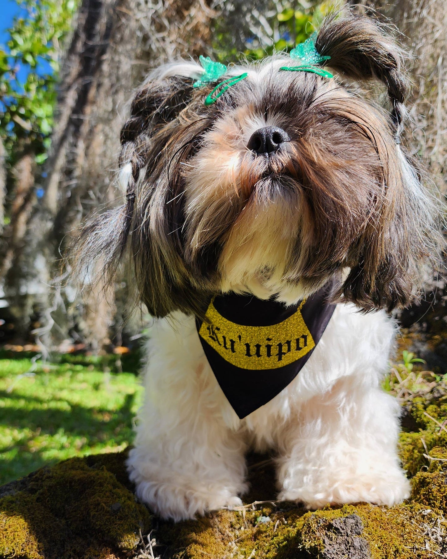 GigiWhy Pet Scrunch Bandana- Ku'uipo Necklace