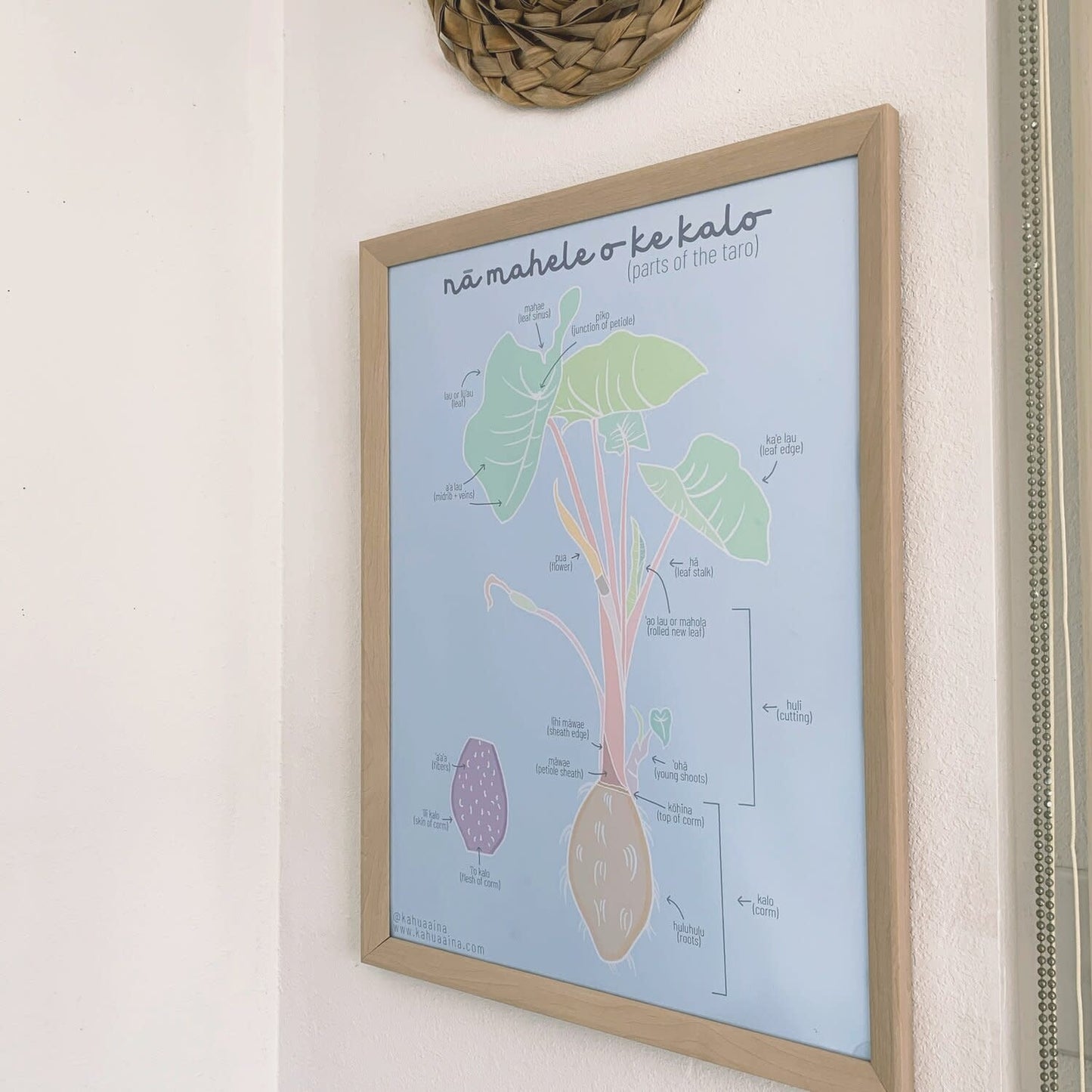 Kahua Aina: Na Mahele o ke Kalo - Kalo Poster - Blue