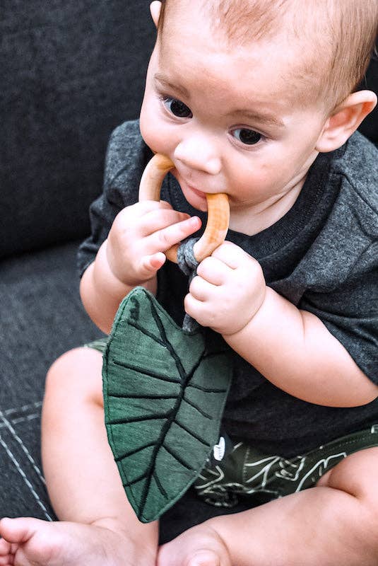 Hawaiian Kalo Baby Crinkle Teether Toys