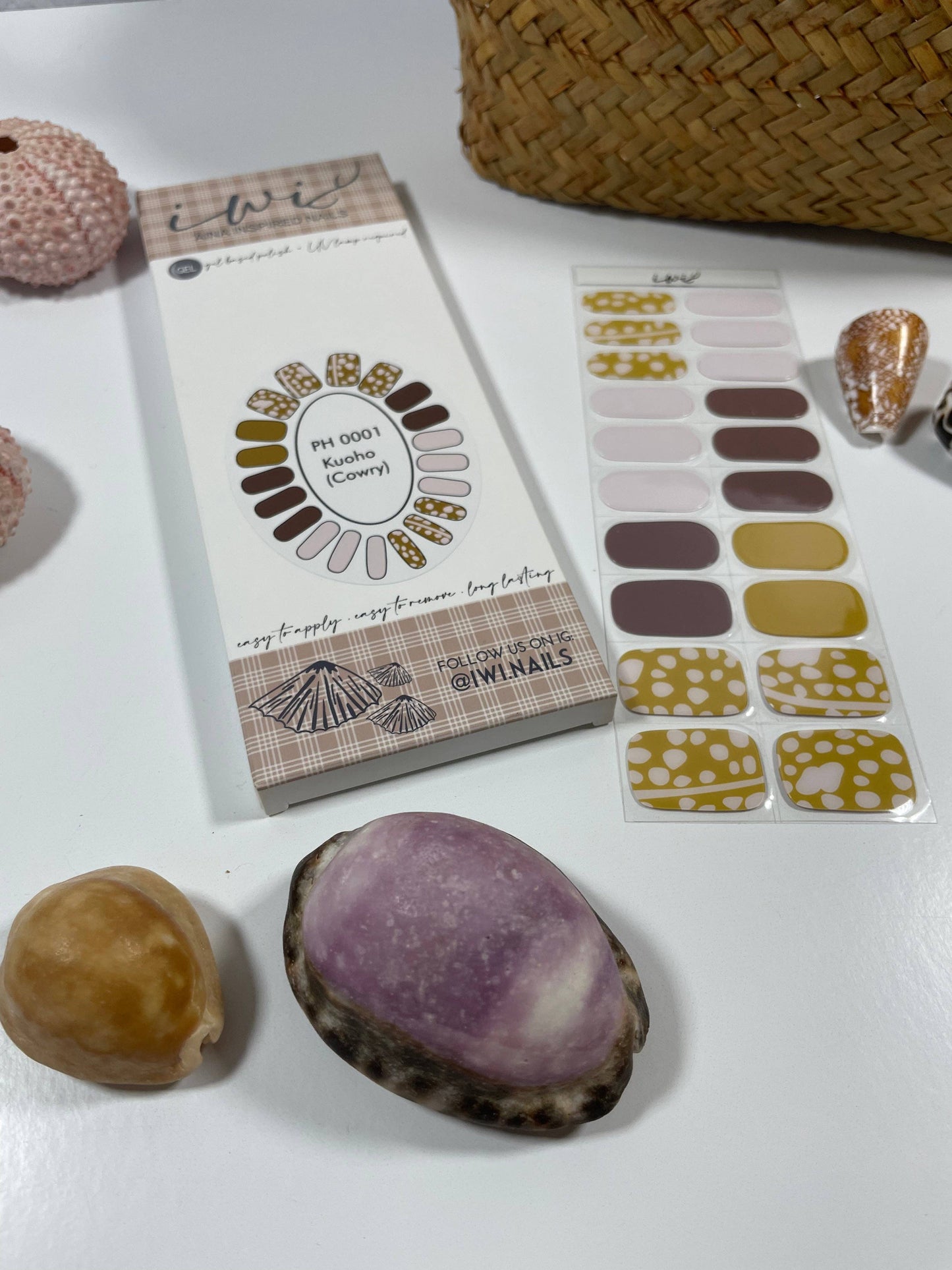 Pupu Hinuhinu Collection: Kuoho (Cowry)