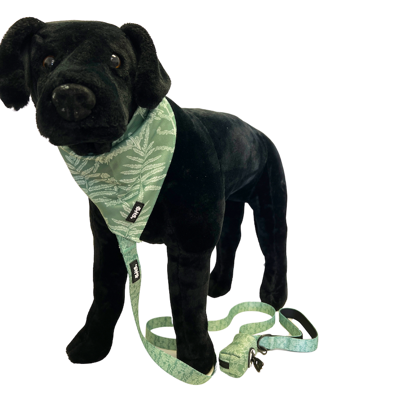 Hawaiian Pet Green Neke Fern Bandana
