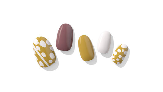 Pupu Hinuhinu Collection: Kuoho (Cowry)