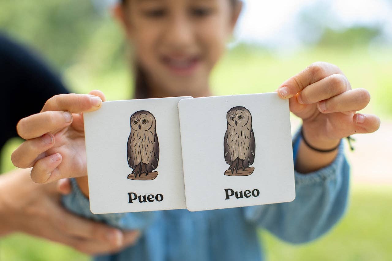 The Memory Game: Mālama ʻĀina