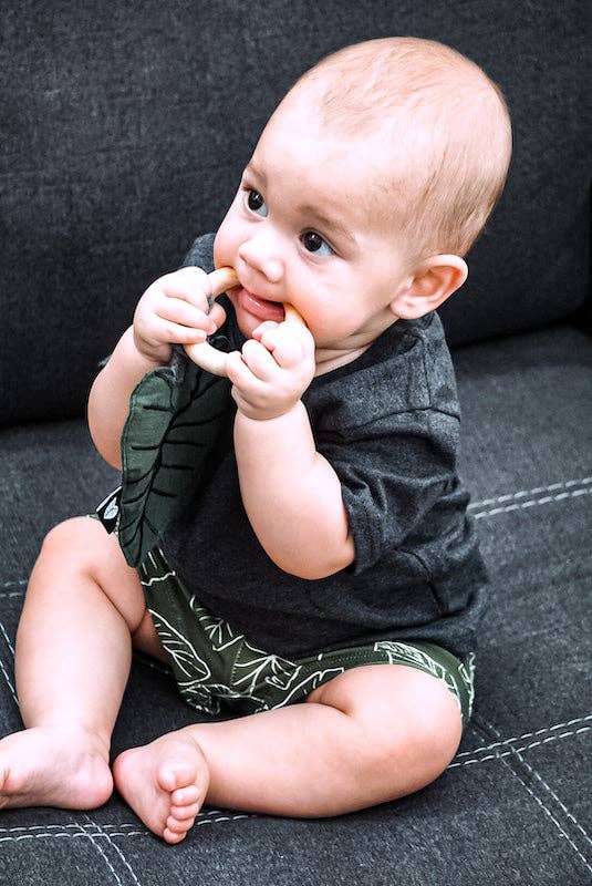 Hawaiian Kalo Baby Crinkle Teether Toys