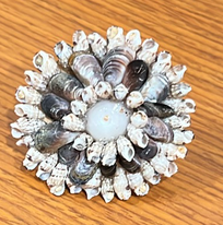 Niihau Shell: Large Ring